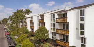 South Shore Gallery 20