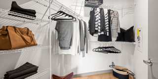110 Roy Gallery 10