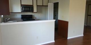 11337 Avenida De Los Lobos Gallery 17