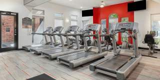 The Saxony Apartments The Saxony Apartments Gallery 63