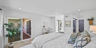 3519 Paseo Flamenco Gallery 19