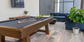 Vivo Living Gallery 11