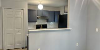 10542 Autumn Trace Road Gallery 53
