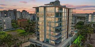 Evolution Evolution Gallery 1