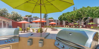 Spring Meadow Gallery 14