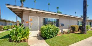 Pacifica Palms Apartments Pacifica Palms Apartments Gallery 1