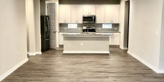 Spacious open floorplan with lots of light Gallery 4