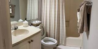 Fully Furnished 1 bed/ 1 bath Island Square Condo Gallery 11