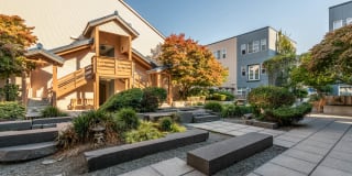 Uwajimaya Village Gallery 17