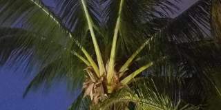 226 NE 1st Avenue unit: Key Lime Suite Gallery 43