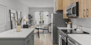 Alta Altitude Gallery 4