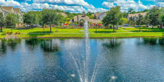 The Finley Gallery 15