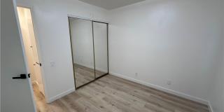 635 Flaming Star Gallery 11