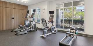 The Lotus at Starkey Ranch Gallery 31