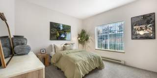 Chase Village Gallery 8
