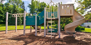 Tuscarora Creek Gallery 10