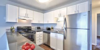 The Groove Gallery 1