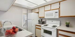 Twin Palms Gallery 43