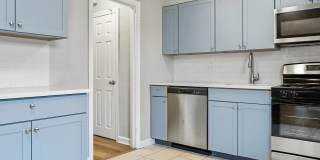 Stenton Gardens Gallery 6