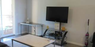 Short Term Rental - Condo Gallery 7