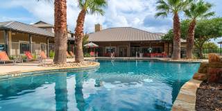 The Palmera Gallery 20