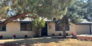 Beautiful Stallion Springs Home! Gallery 1