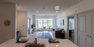 DeLaet's Landing Gallery 11