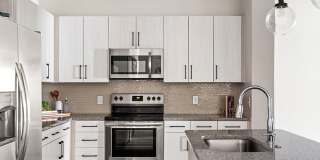 Hue on Greenhouse Gallery 18