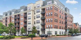 701 SWANN Avenue Gallery 1