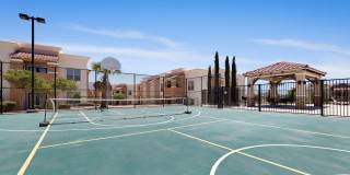 Sonoma Palms Gallery 25