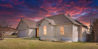 717 -- Northern Red Oak Gallery 1