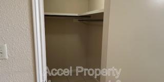 2405 Mimosa Street Gallery 15