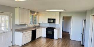 1 Bedroom / 1 Bathroom in Manoa Gallery 8