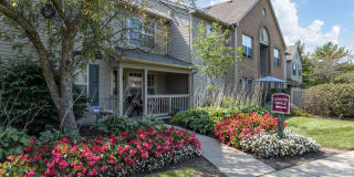 Sawmill Ridge Gallery 1