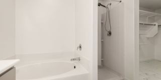 One Of A Kind Home For Rent In Buckeye! Gallery 21