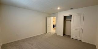 9643 Babaco Gallery 11