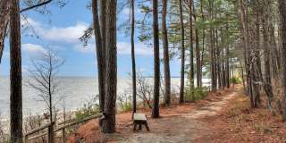 Spyglass at Cedar Cove Gallery 26