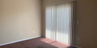 Beautiful Condo! Gallery 18