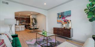 Auxo at Memorial Gallery 10