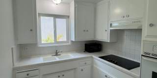 Spacious & Bright 2 Bedroom Apartment in Prime Long Beach Location Gallery 7