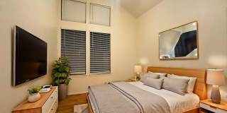 UT PRE LEASE: West Campus 2bd / 2ba Cathedral ceilings, Huge windows, Good Roommate floor-plan Gallery 1