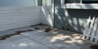 Crystal Lake Home For Rent Crystal Lake Home For Rent Gallery 18