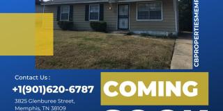 3825 Glenburee St Gallery 1