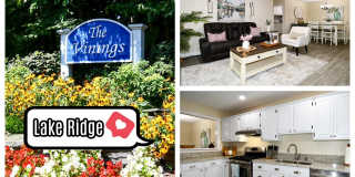 11944 CARDAMOM Drive Gallery 1
