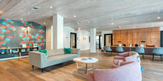 Agave Gallery 69