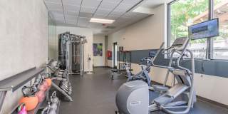 The Prescott Gallery 25