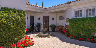 79365 Mandarina Gallery 42