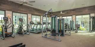 Territory at Greenhouse Gallery 20