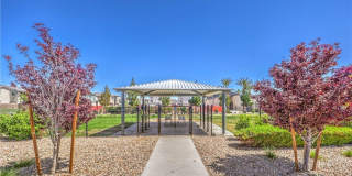 6816 Citron Mist Court Gallery 41