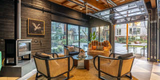 Arlo Gallery 43